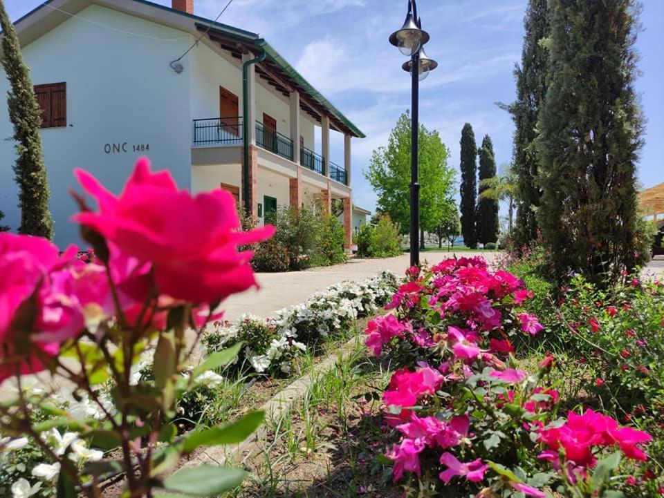 Agriturismo Ariston Onc 1484 Sabaudia Exteriör bild